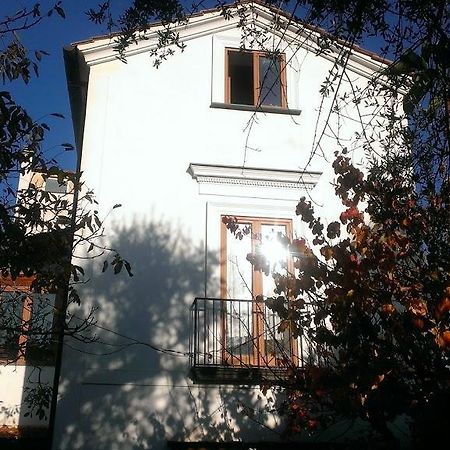 Domino House Montariello Apartman Sorrento Kültér fotó