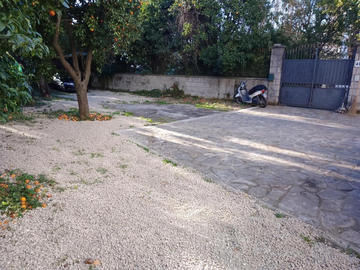 Domino House Montariello Apartman Sorrento Kültér fotó